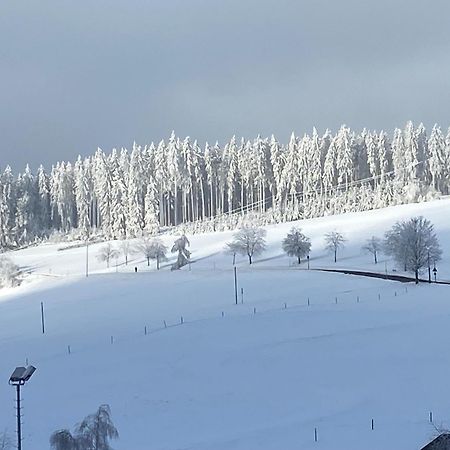 Apartamento Im Salzgassle Schonach im Schwarzwald Exterior foto